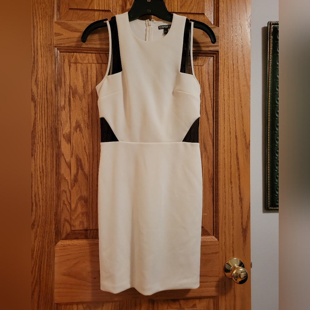 Express size 2 bodycon dress with mesh cutouts